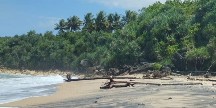 10 Wisata Pantai Pacitan yang Jarang Diketahui Wisatawan 2024